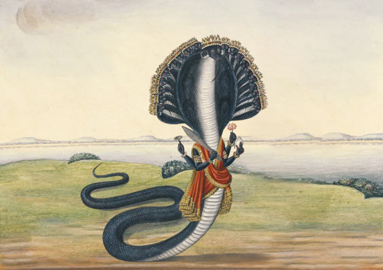 Serpent Of Lord Vishnu