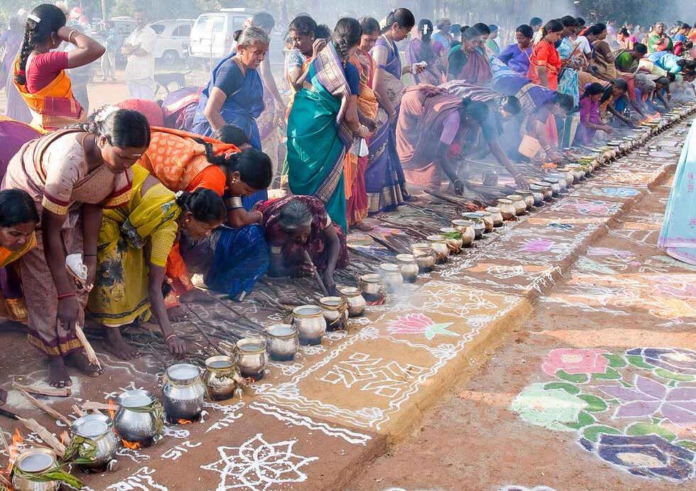 Pongal Festival In Tamil