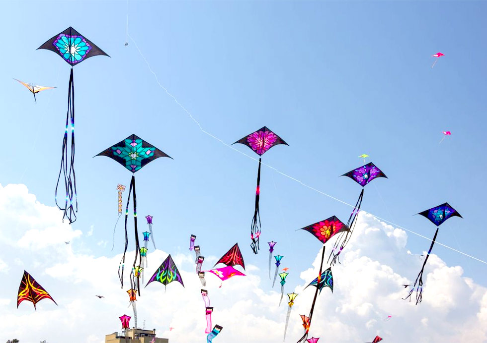 How Is Makar Sankranti Celebrated