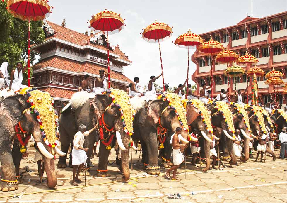 How To Celebrate The Thrissur Pooram Festival How To Celebrate The Thrissur Pooram Festival