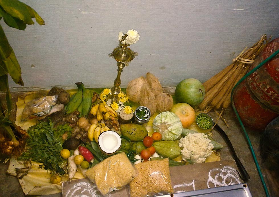 Pongal festival 2026